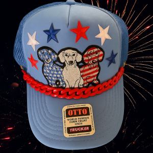 Blue USA Hat